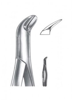 Extracting Forceps